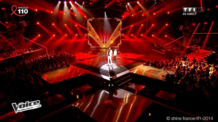 ©| michèle sarfati | télédéko | The Voice saison 3 | Shine France | tf1 | 2014